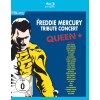Queen+: The Freddie Mercury Tribute Concert